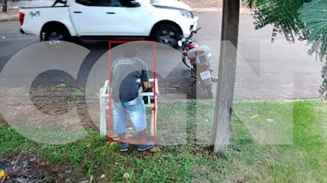 Homem escala poste e árvore para furtar fios no Tropical