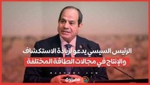 الرئيس السيسي يدعو لزيادة الاستكشاف والإنتاج في مجالات الطاقة المختلفة