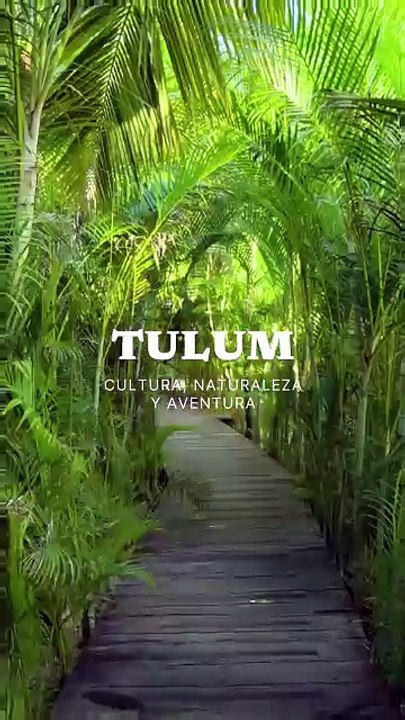 Tulum, el destino que lo tiene todo. Disfruta de sus playas paradisiacas, sus cenotes impresionantes y su cultura entrañable. Un destino que te espera para un viaje inolvidable.@mytulum