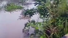 RIO SÃO PEDRO , VILA NOVO PLANALTO 4 BOCAS NOVO REPARTIMENTO PA