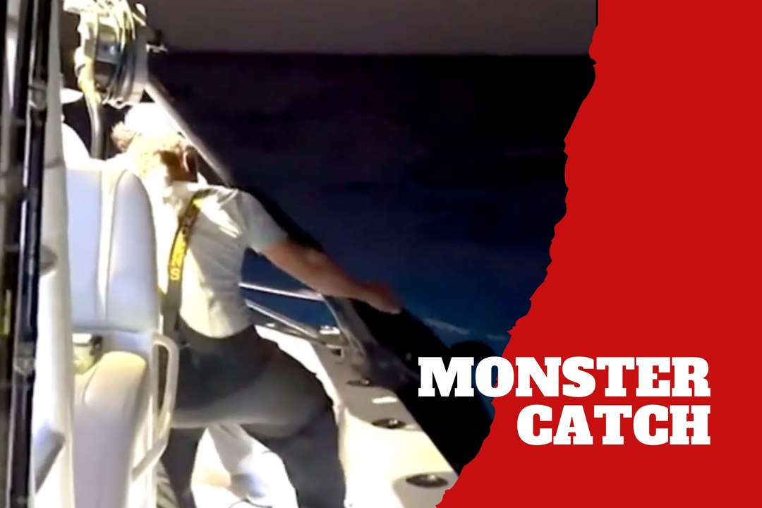 Familia en Florida captura un pez espada gigante tras una batalla de cinco horas