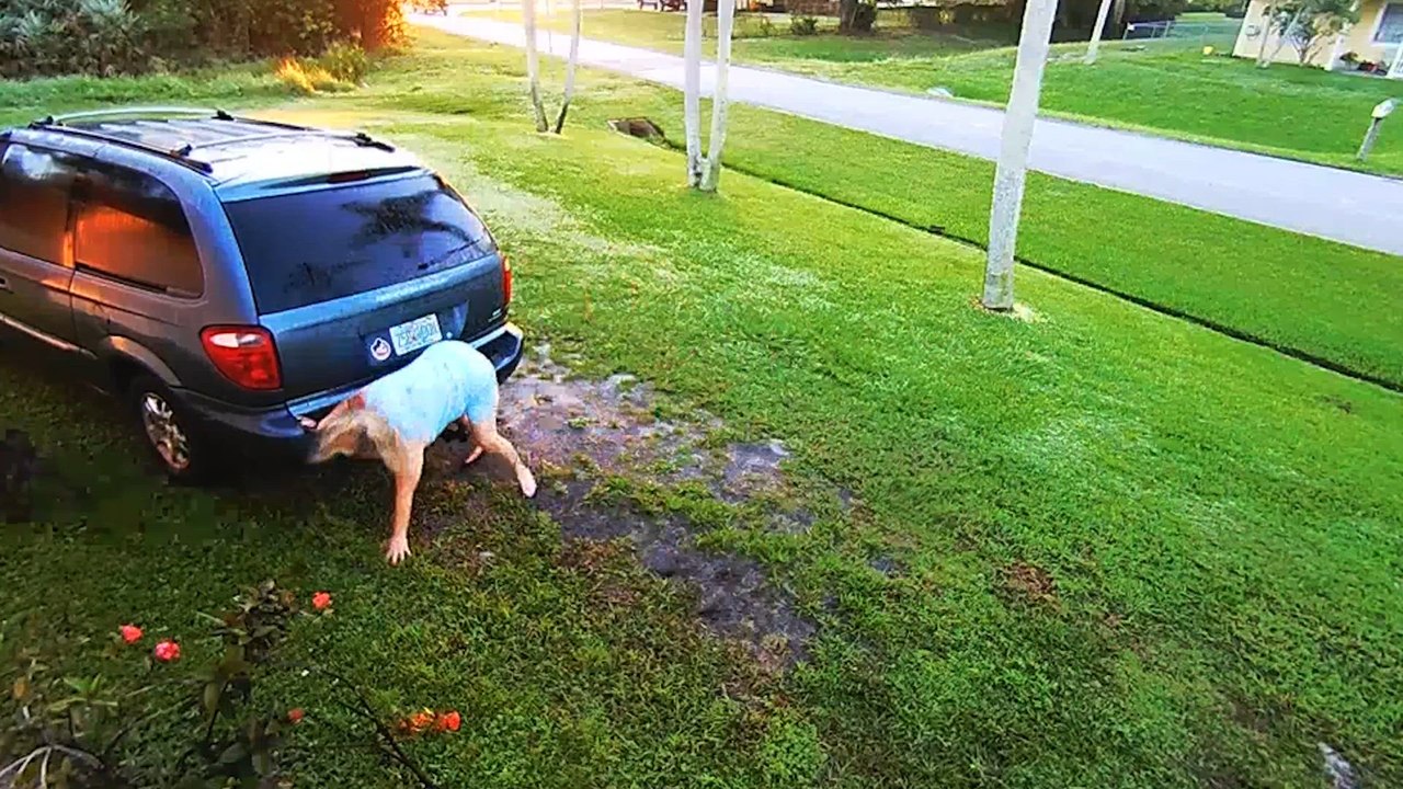 CCTV Fails