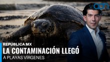 La contaminación llegó a playas vírgenes. Pobladores retiran toneladas de chapopote I República Mx