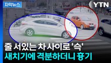 [자막뉴스] 값싼 주유소 앞으로 늘어선 차들...흉기까지 꺼내며 '일촉즉발' / YTN