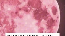 Pink Moon 2026: Fenomena Purnama Cantik di Bulan April