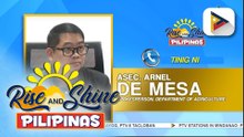 Panayam kay D.A. Spokesperson Asec. Arnel de Mesa hinggil sa iba’t ibang programa ng ahensya at mga hakbang sa pagtulong sa mga magsasaka at mangingisda na apektado ng taas-presyo sa langis