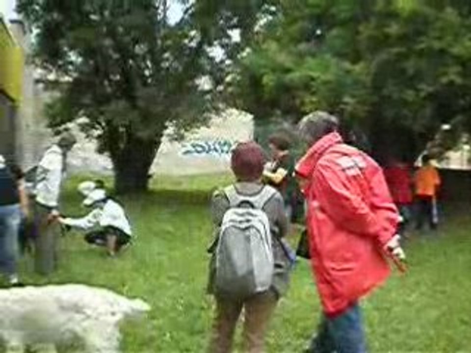 balade canine de villeurbanne 2