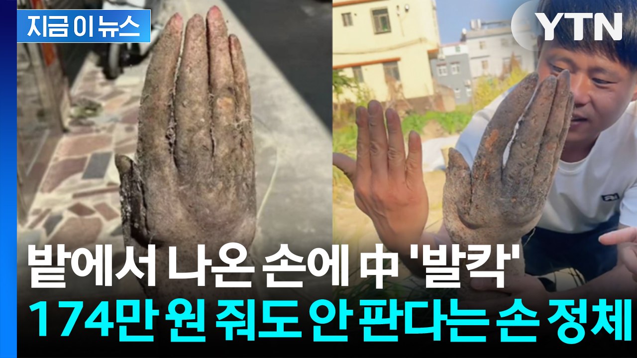 174만 원에 산다고 해도 거부... 마을 전체 발칵 뒤집은 '손 정체' [지금이뉴스...