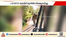 അച്ചൻകോവിൽ-പുനലൂർ വനപാതയിൽ കാട്ടാന; കെഎസ്ആർടിസി ബസിൽ ഇടിച്ചു, ആളുകൾ ബഹളം വെച്ചതോടെ പിന്മാറി