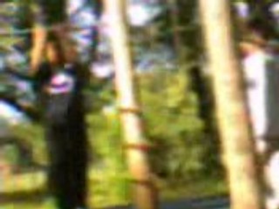 Pullups