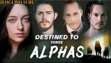 Destined to Three Alphas