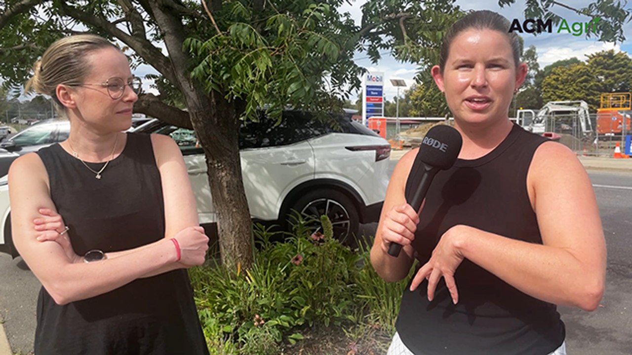 How a COVID goat project could help connect the dots between deer, parasites and drench resistance