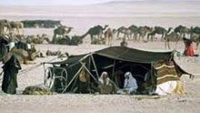 قصة قبيلة عنزة الوائلية