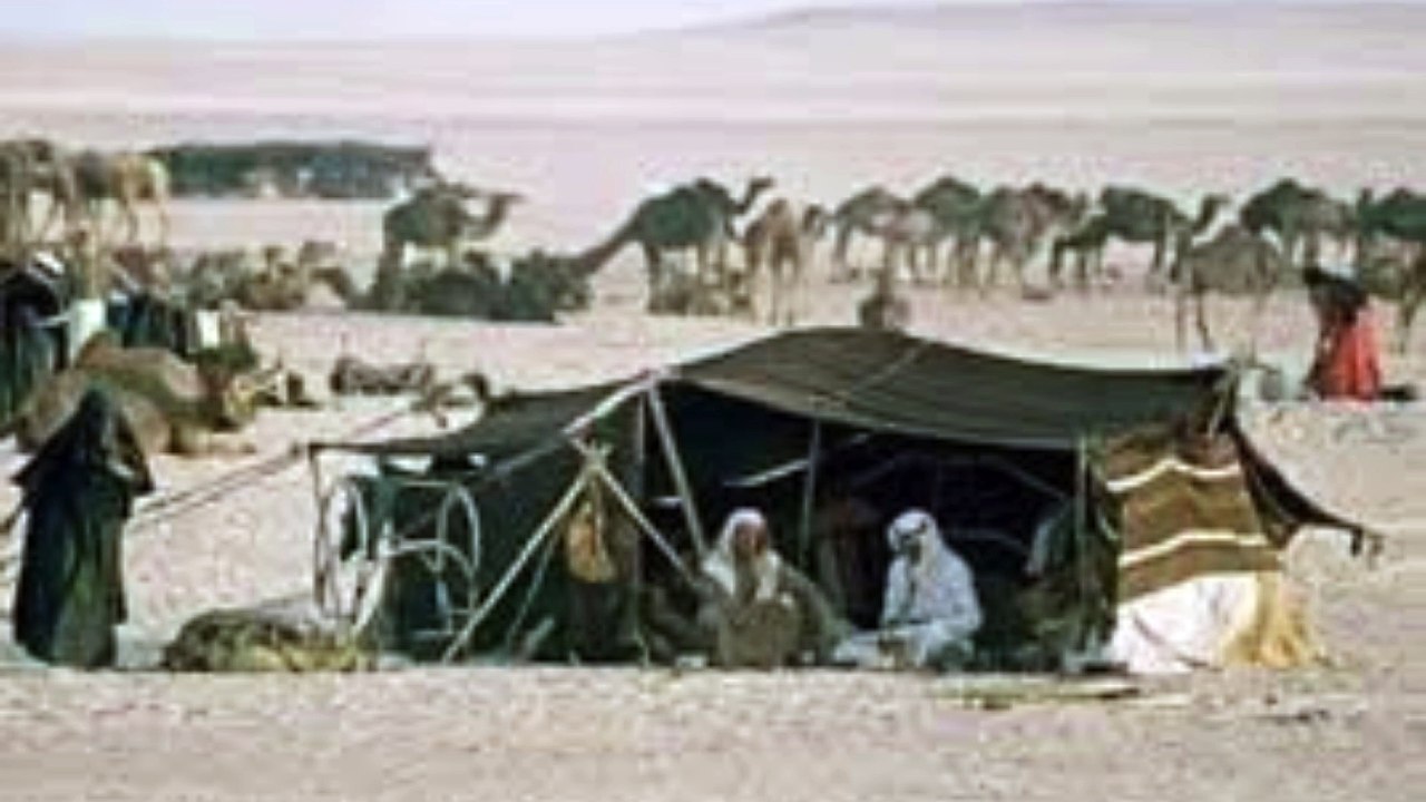 قصة قبيلة عنزة الوائلية