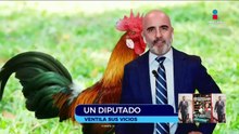 Pedro Haces quiere ponerle nombre a su gallo | Qué Importa