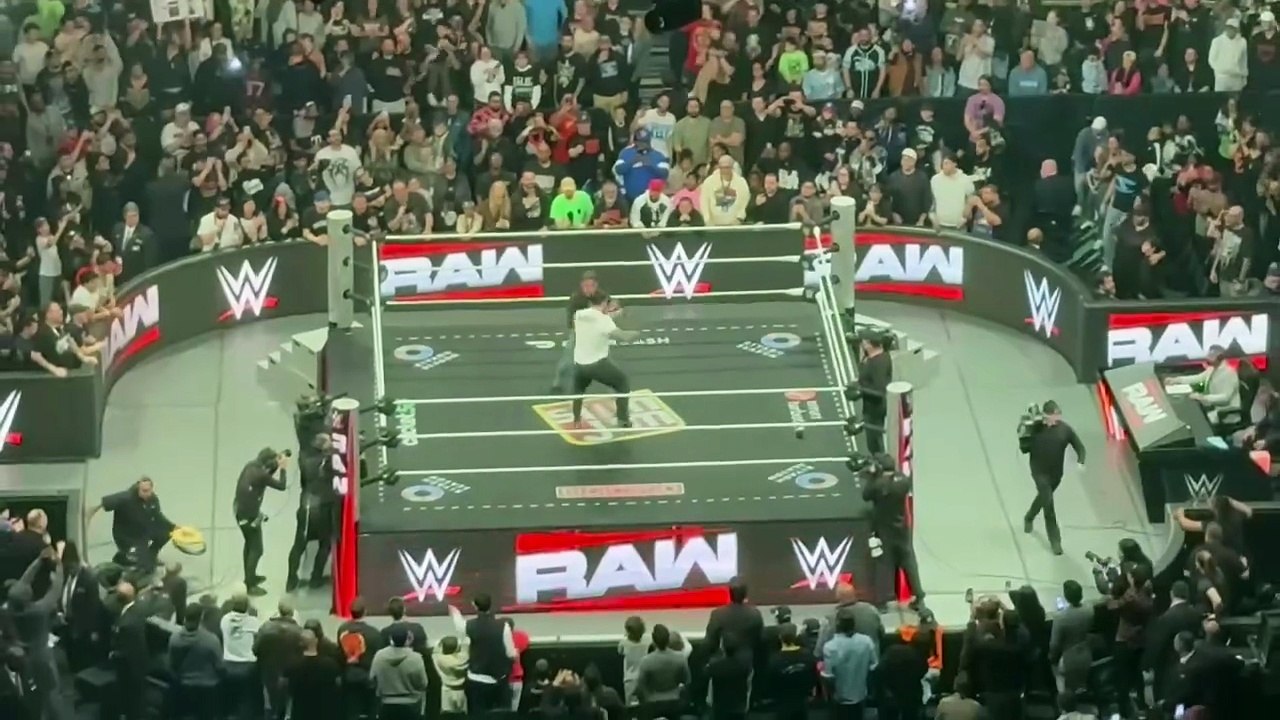 CM Punk Brawls With Roman Reigns - WWE Raw 3/30/2026