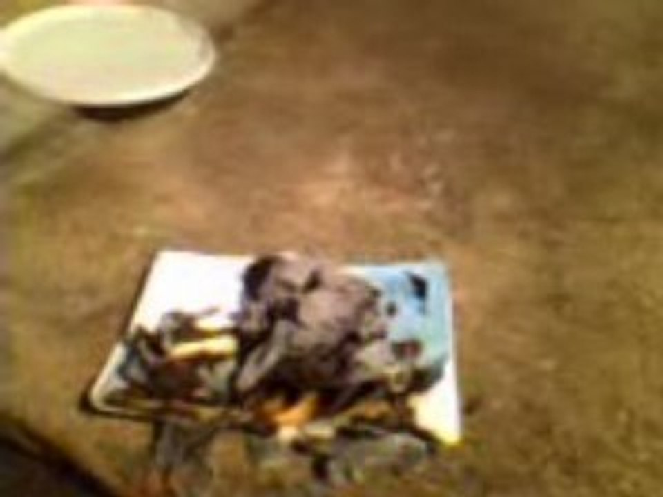 Inspector calls notes burnin