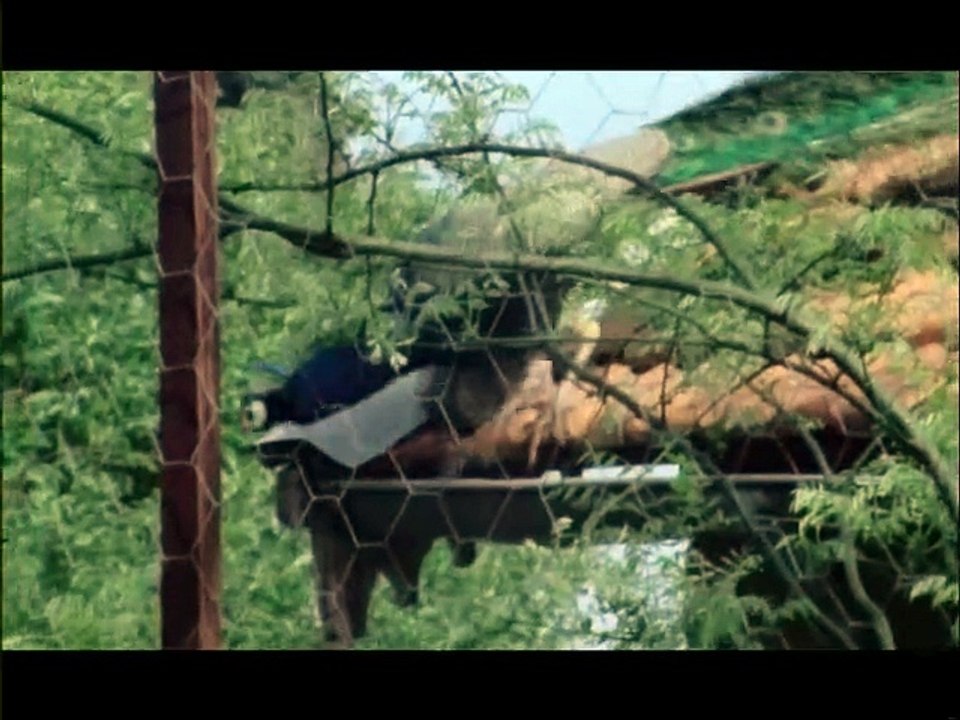 Anne, Jour après Jour - 1976 - Episode 51