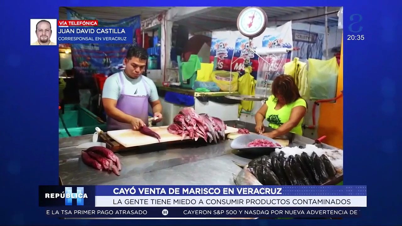 ¡Nadie quiere mariscos! Derrame provoca caída histórica en el consumo de pescados en Veracruz