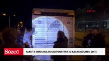 Kars'ta durdurulan kamyonetten 12 kaçak göçmen çıktı