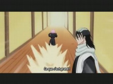 BLEACH 174 PREVIEW +BONUS VOSTFR