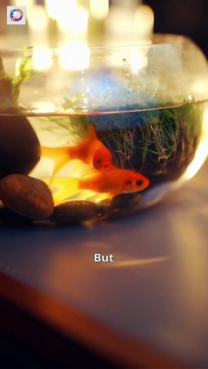 the rescue i never had [Full Movie] [Watch Free Online]Full EP - Full