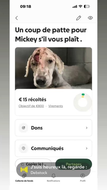 Svp laissez un petit sous sa ferais vraiment plaisir et sa aiderais énormément svp 🙏🙏https://gofund.me/7f35ab37c
