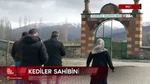 Muş’ta 9 gün önce öldürülen adamın kedileri mezarının başından ayrılmıyor
