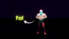Simple Science to Burn Fat Like a Pro