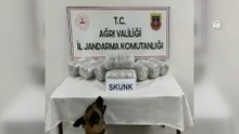 Ağrı'da 10 kilogram sentetik uyuşturucu ele geçirildi