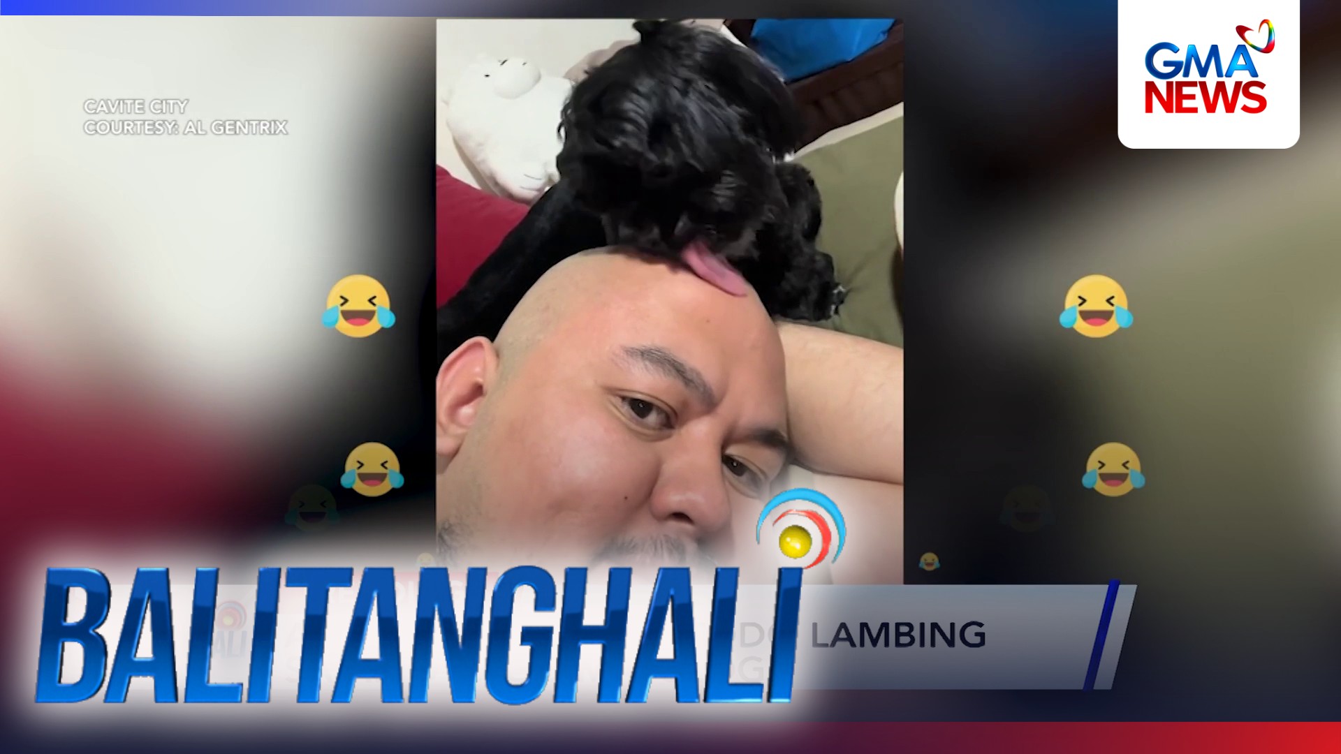 Alagang Shih Tzu, todo lambing sa amo bago matulog | Balitanghali