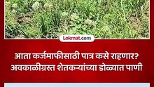 कर्ज भरण्याची तारीख आता ३१ मार्चऐवजी ३० जून करा, अवकाळीग्रस्त शेतकऱ्यांची मागणी