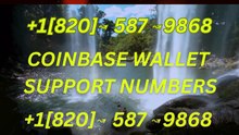 ≋《FINAL》List of Coinbase ® – [U.S. Toll Free Numbers: A Comprehensive Step-by-Step Guide 1(8{2}0)⇀587⇀9868