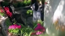 Fake Daughter Exposed! The True Heiress's Return Destroys Everyone