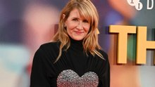 Laura Dern to star in Jeffrey Epstein investigation series