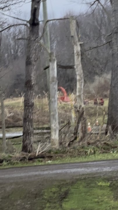 Hopping deer