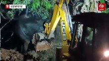 Watch: ଗାଁକୁ ଆସି ପାଇଖାନା ଟାଙ୍କିରେ ଫସିଗଲା ହାତୀ, ଘଣ୍ଟାଏ ପରିଶ୍ରମ ପରେ ଉଦ୍ଧାର କଲା ବନବିଭାଗ