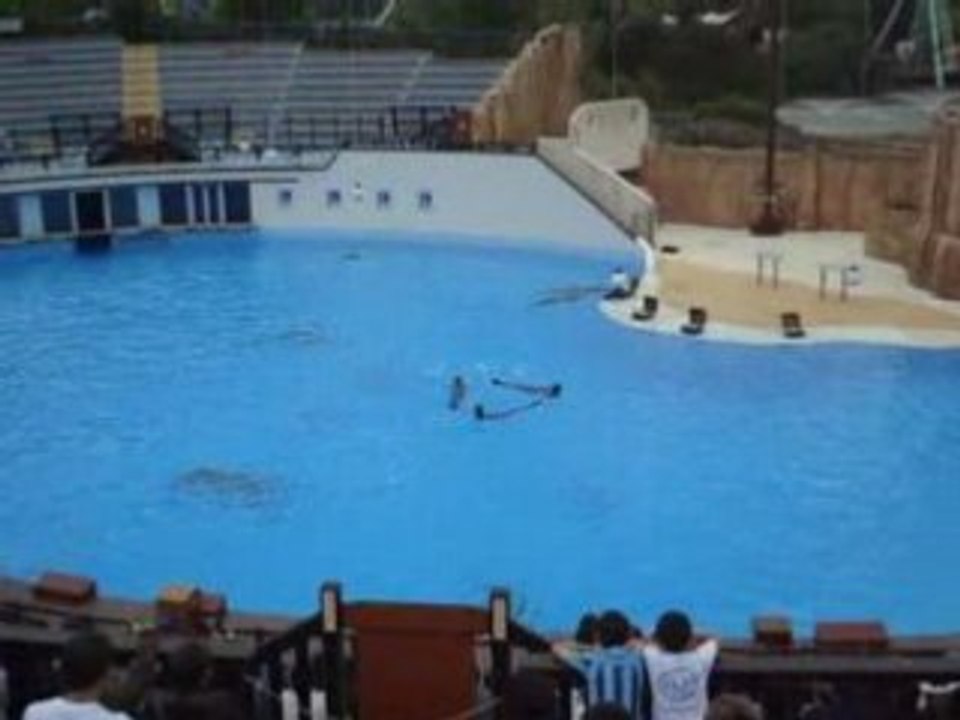 04/06/2008 - Parc Astérix : Le Spectacle des Dauphins