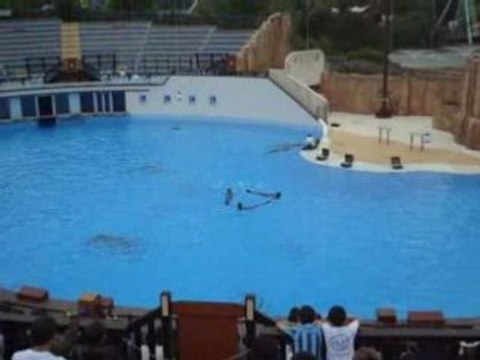04/06/2008 - Parc Astérix : Le Spectacle des Dauphins