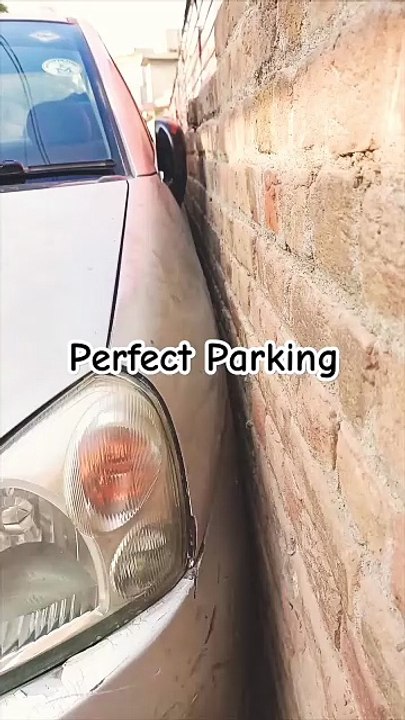 Perfect Parking