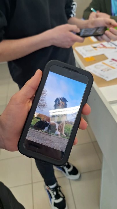 Bas-Rhin. Aurélie fait cours avec ses chiens : "Les élèves viennent aux contrôles avec le sourire !"