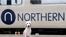 Bedlington Station Reopens with Free Travel for Terriers and Owners