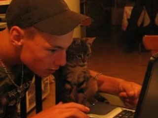 Vidéo yoan et mistigrou