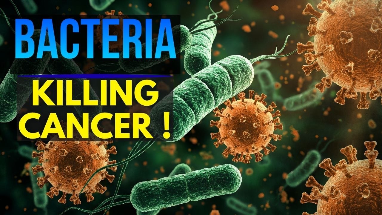 Microorganisms That Target and Eliminate Cancer Cells