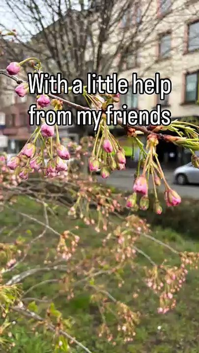 Buff durch Schönheit