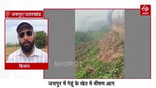 जसपुर में गेहूं के खेत में भीषण आग, 20 बीघा फसल जलकर राख, शॉर्ट सर्किट बना वजह