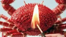 You Won’t Believe These Sea Animals Are Made of Matchsticks#shorts