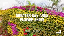The Greater Bay Area Flower Show in Shenzhen 🌸