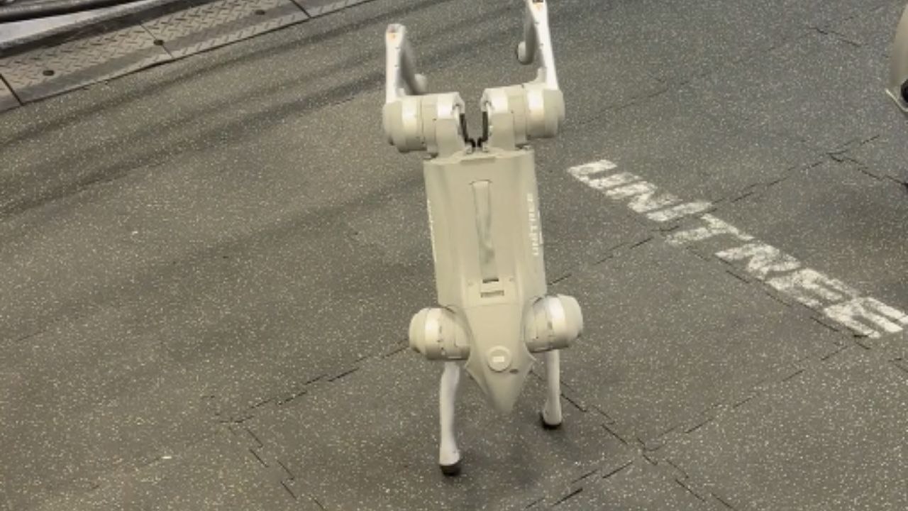 Impressive footage of robot dog balancing on its front paws during a live CES 2026 demo
