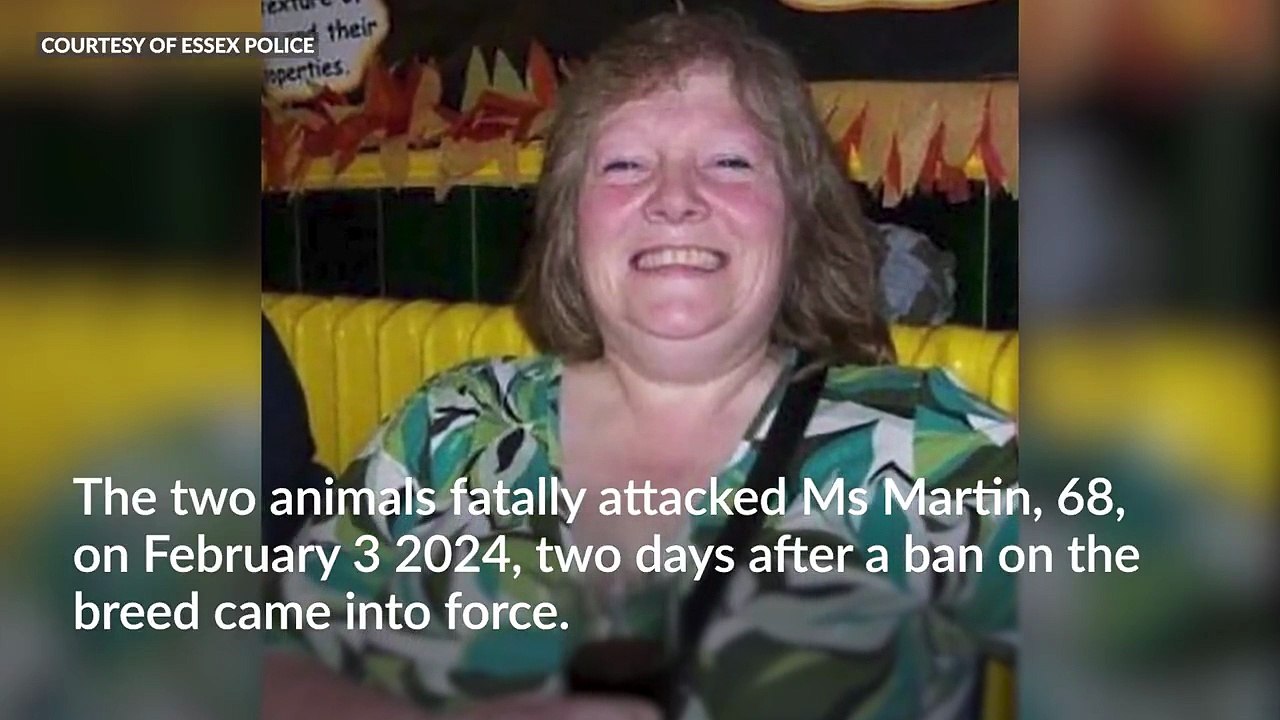 Man who owned XL bully dog that fatally mauled woman jailed for 10 years